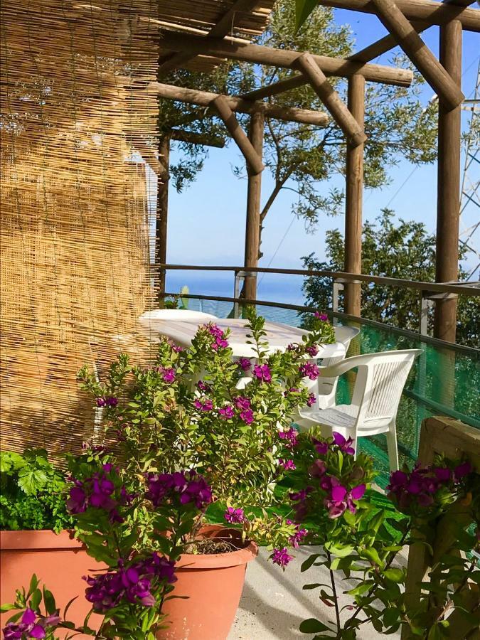 Casa Luisa & Milu , Coastal Retreats In Furore! Екстер'єр фото